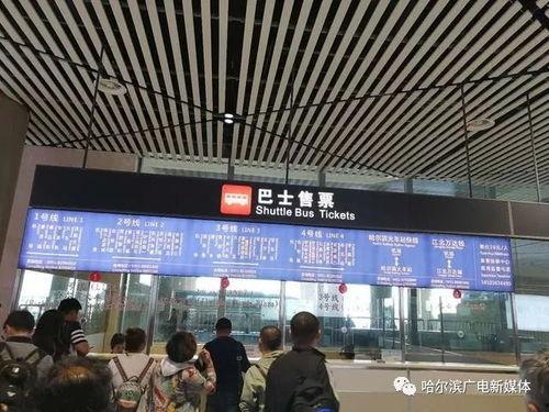 哈尔滨航班爆料信息最新,揭秘航班延误背后的真相  第2张