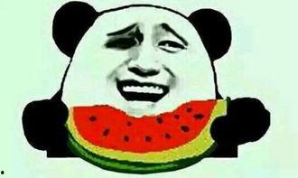 免费吃瓜的套路,揭秘娱乐圈幕后故事，带你领略明星真实生活